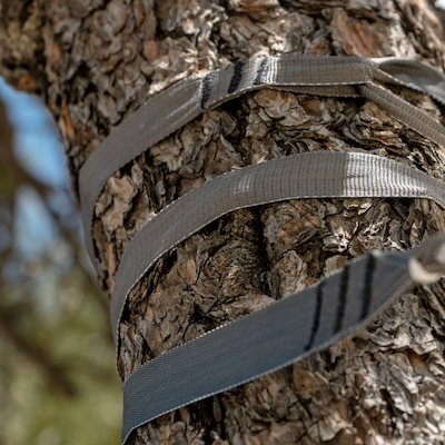 Tree Straps